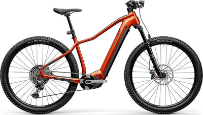 E-Bike MTB Hardtail