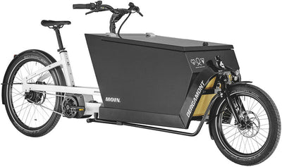 E-Bike Cargo für die Arbeit