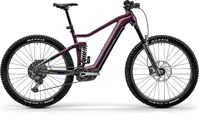 Centurion No Pogo R3700i - 750 Wh - 2025 - 29 Zoll - Fully