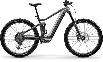 Centurion No Pogo R3700i - 750 Wh - 2025 - 29 Zoll - Fully