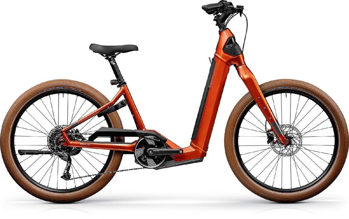centurion mountainbike kaufen Easy R700i P – 625 Wh, Tiefeinsteiger Silikon Armband für Gear LA TECH Wählen Sie aus den folgenden Rahmenformen:Low Step