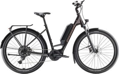 Diamant Zing Trip Core - Lowstep - 725 Wh - 2025 - 27,5 Zoll - Tiefeinsteiger