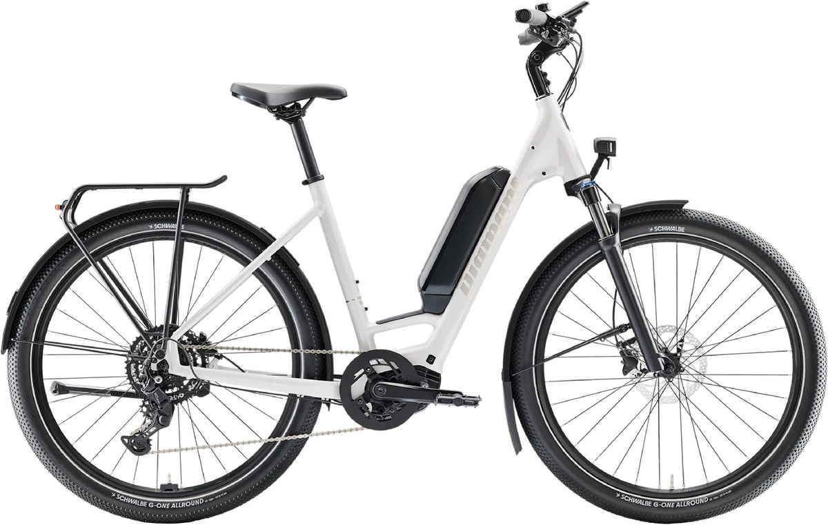 Diamant Zing Trip Core – 545 Wh, Tiefeinsteiger