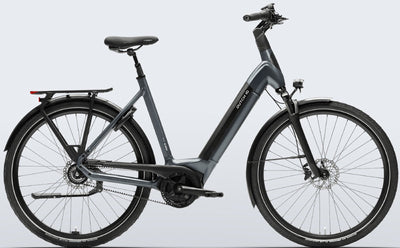 Dutch ID Infinity S40 - 500 Wh - 2025 - 28 Zoll - Tiefeinsteiger