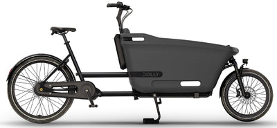 Dolly Joy - 400 Wh - 2025 - 26 / 20 Zoll - Damen und Herren