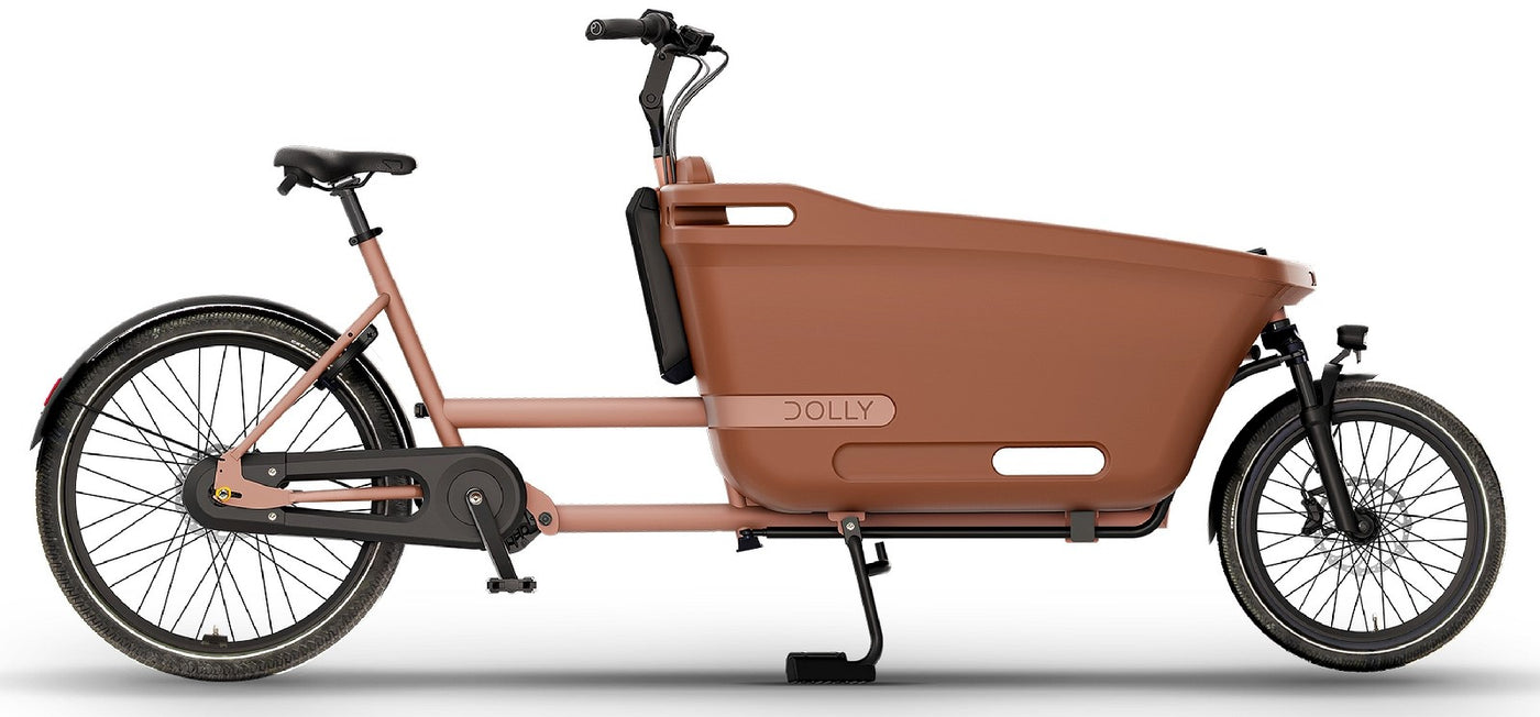 Dolly Joy - 400 Wh - 2025 - 26 / 20 Zoll - Damen und Herren