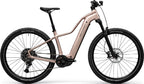 Centurion Backfire Fit R1000 EP1 - 800 Wh - 2027 - 29 Zoll - Trapez