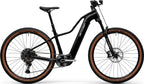 Centurion Backfire Fit R1000 EP1 - 800 Wh - 2027 - 29 Zoll - Trapez