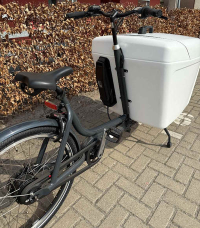 Babboe Pro Pro Bike-E Box Midmotor 350l - 500 Wh - 2024 - 26 / 20 Zoll - Tiefeinsteiger