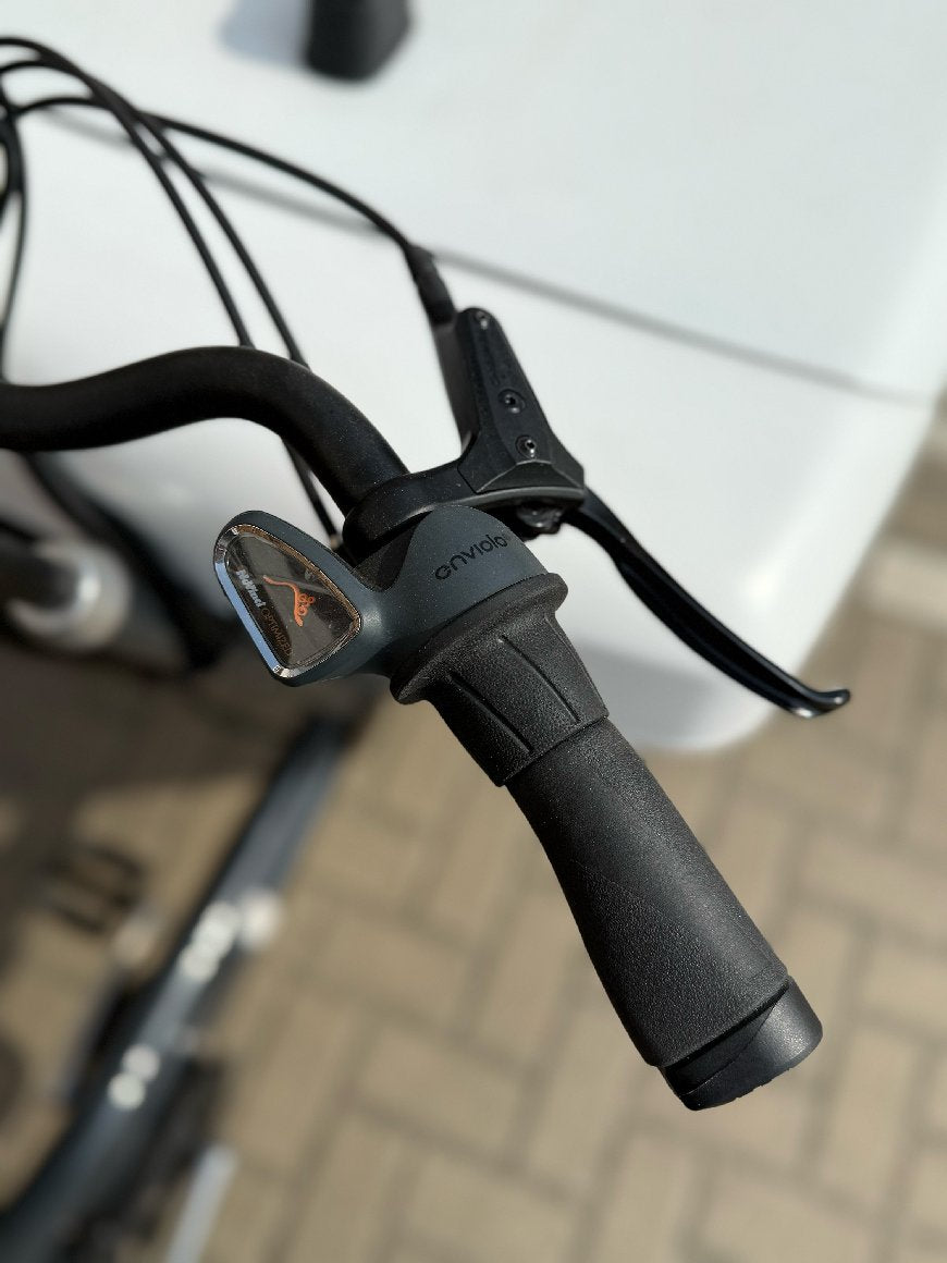 Babboe Pro Pro Bike-E Box Midmotor 350l - 500 Wh - 2024 - 26 / 20 Zoll - Tiefeinsteiger