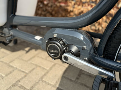 Babboe Pro Pro Bike-E Box Midmotor 350l - 500 Wh - 2024 - 26 / 20 Zoll - Tiefeinsteiger