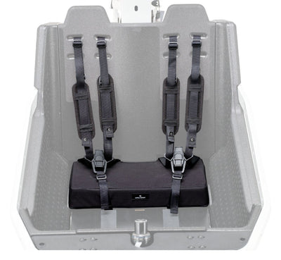 Bergamont Kindersitz mit Gurten Bergamont LJ EPP Kids Bench