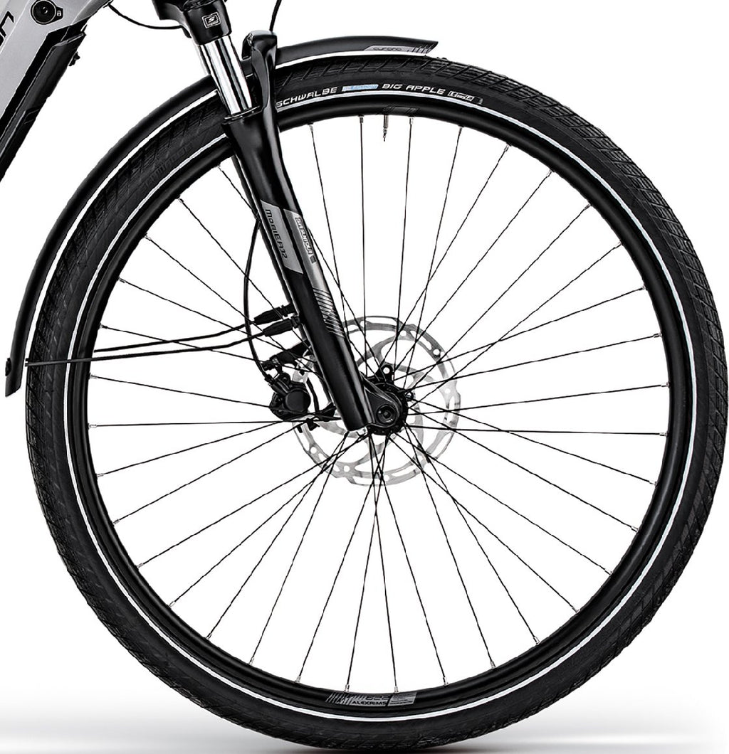 Centurion E-Fire City R650i - 500 Wh - 2024 - 28 Zoll - Tiefeinsteiger