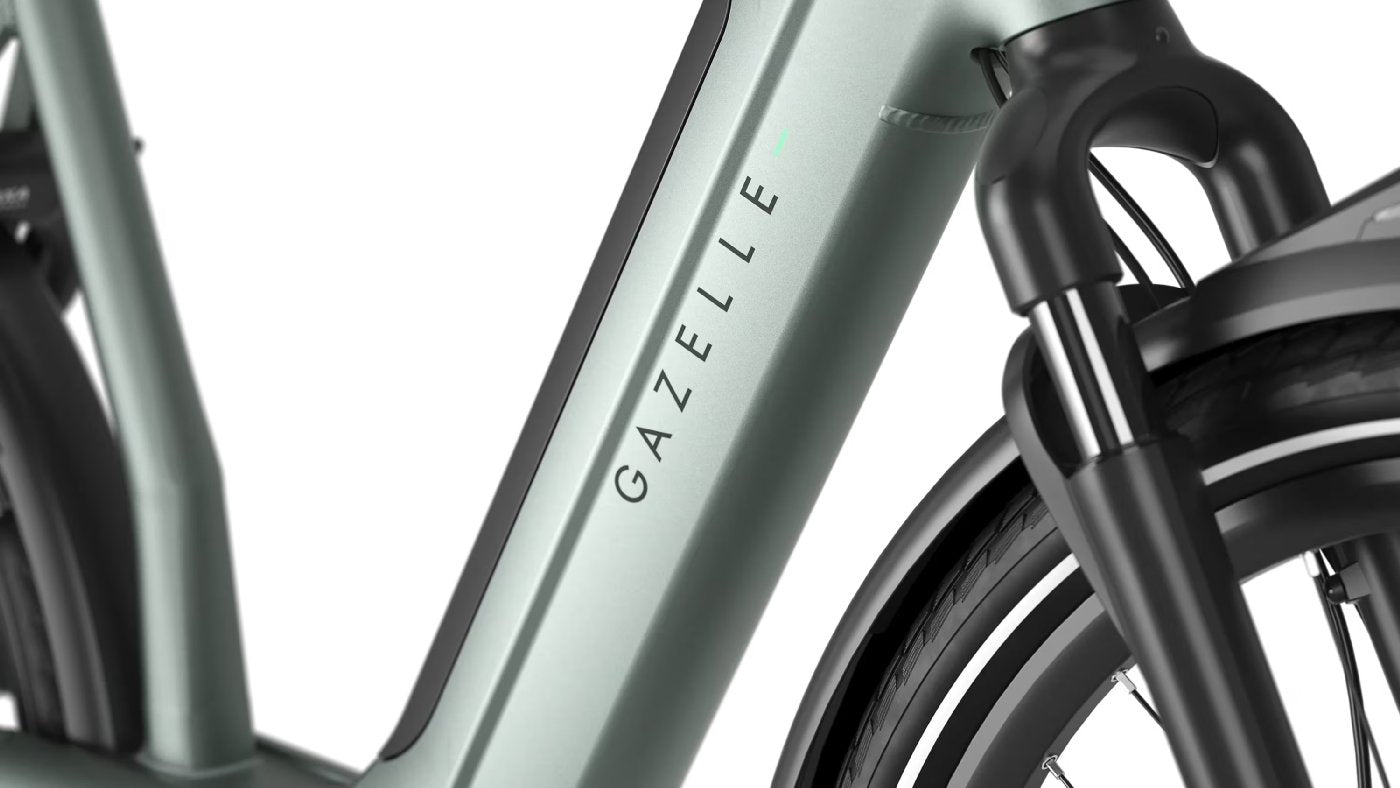 Gazelle Avignon C380+ - 540 Wh - 2027 - 28 Zoll - Tiefeinsteiger