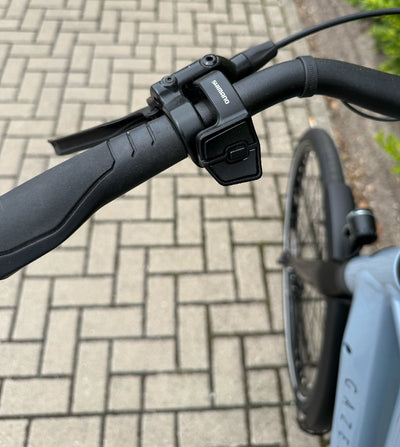 Gazelle Chamonix T10 HMS Testbike 2400 km - 630 Wh - 2024 - 28 Zoll - Trapez