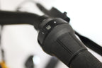 Velo de Ville AEB 490 - 500 Wh - 2024 - 28 Zoll - Tiefeinsteiger
